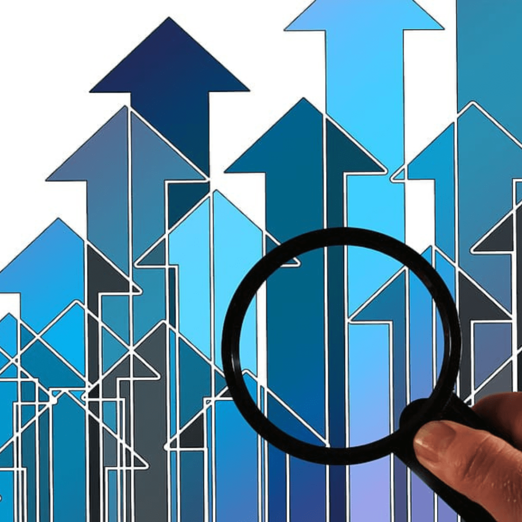 Economic Security Issues